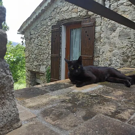 Guest house D'hotes - La Maison De Julie 3*